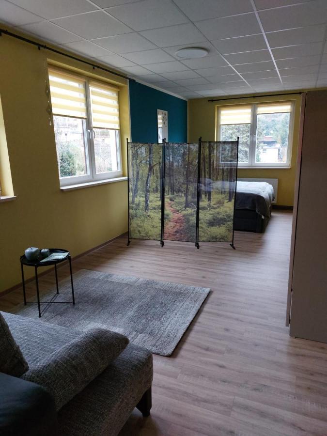 Zur Alten Werkstatt Schwarzenberg  Buitenkant foto